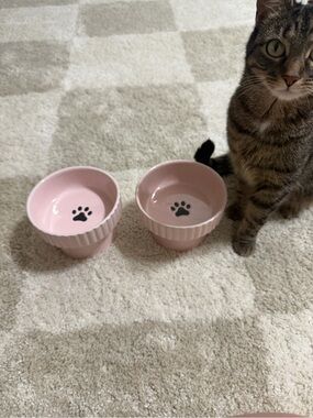 Pink Cat Paw Raised Pet Bowl Set